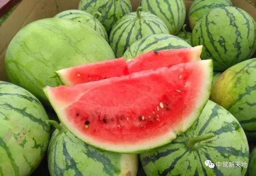 荔枝娱乐圈吃瓜爆料,荔枝吃瓜爆料，明星幕后故事大曝光